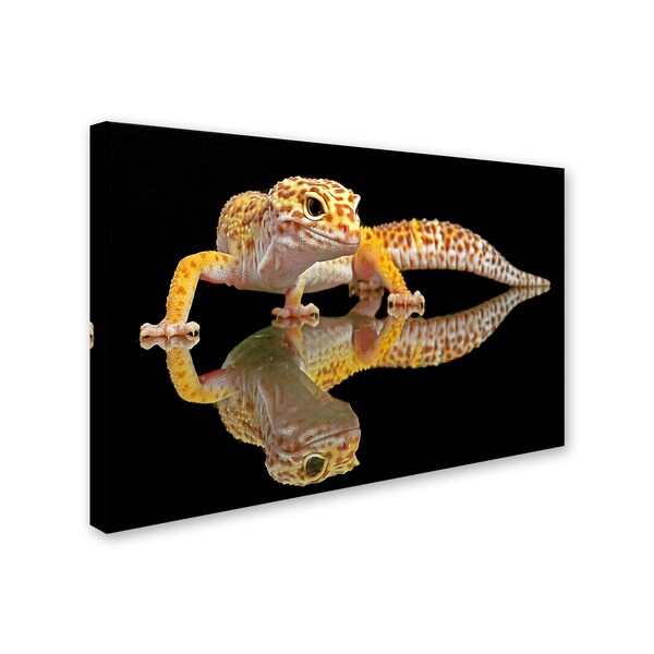 Dikky Oesin 'Leopard Gecko' Canvas Art,16x24
